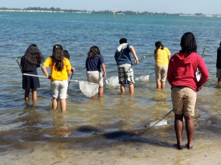 students dip netting in water