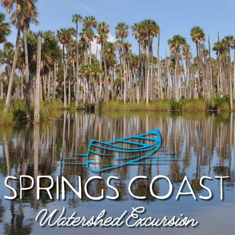 Springs Coast Watershed Excursion graphic