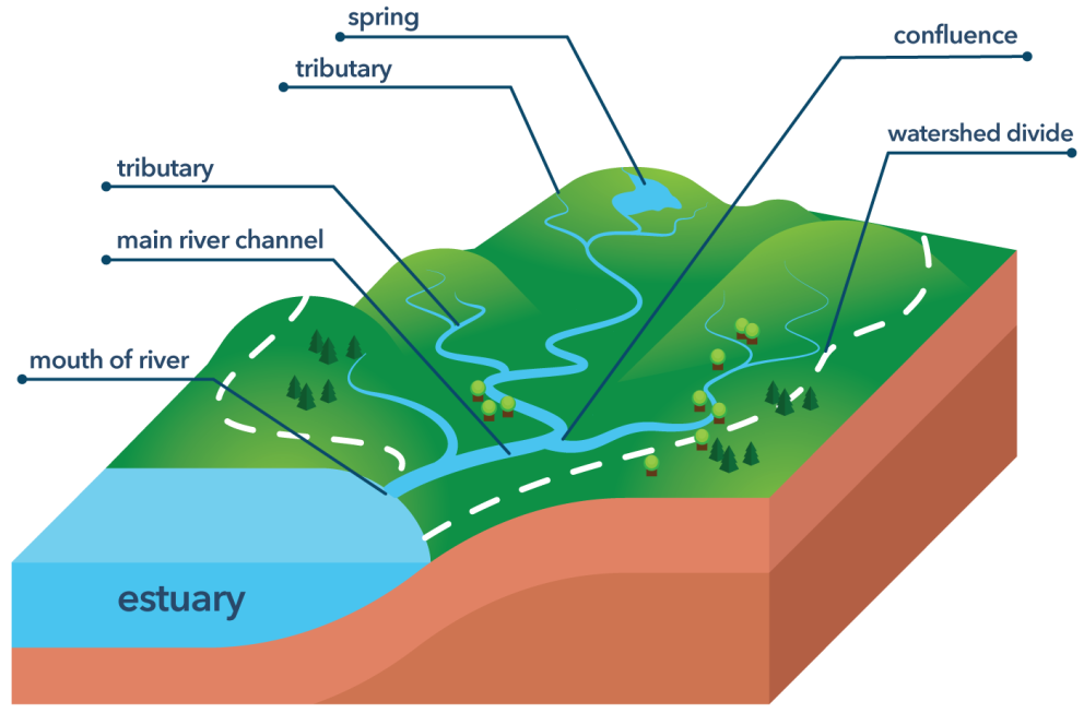 watershed infographic