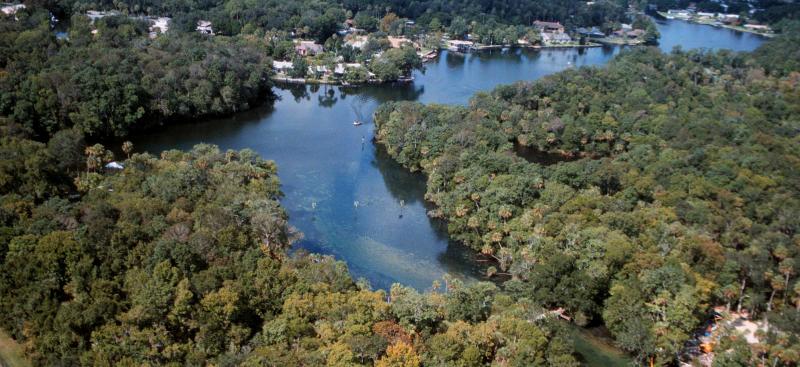 Homosassa Spring aerial view from 2001