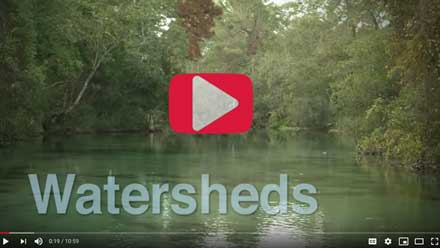 Watersheds video on YouTube thumbnail