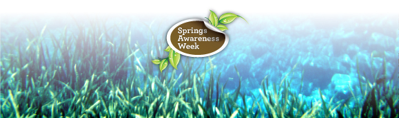 Springs Awareness Week logo